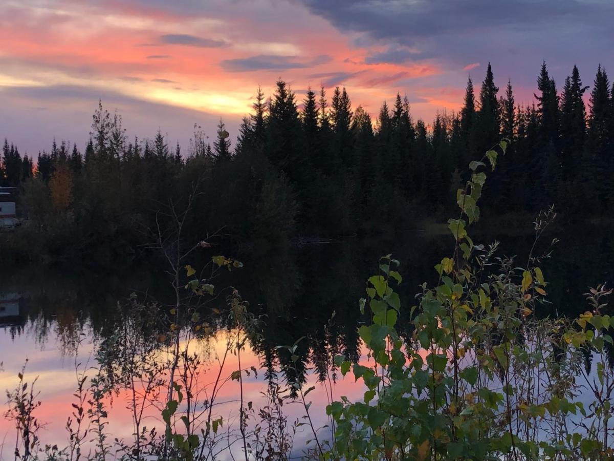 Alaska Log Cabins On The Pond Clear Creek Park Esterno foto